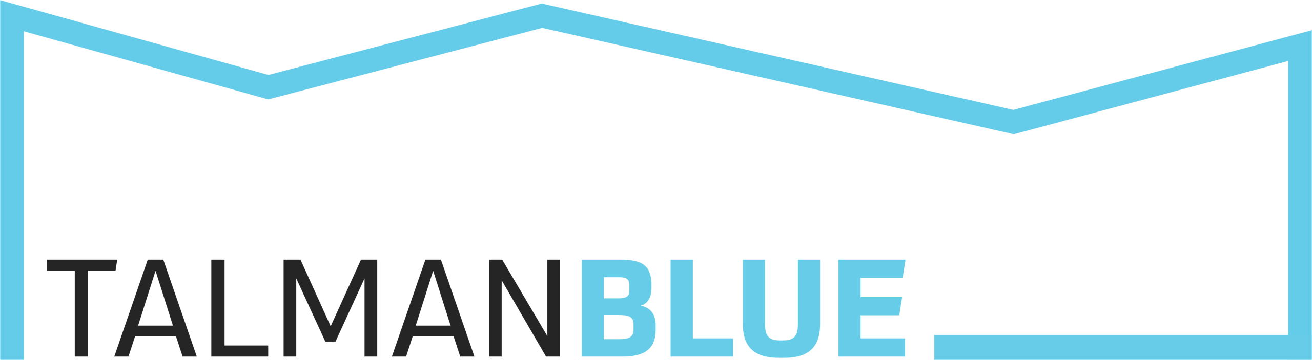 Logo for Talman Blue